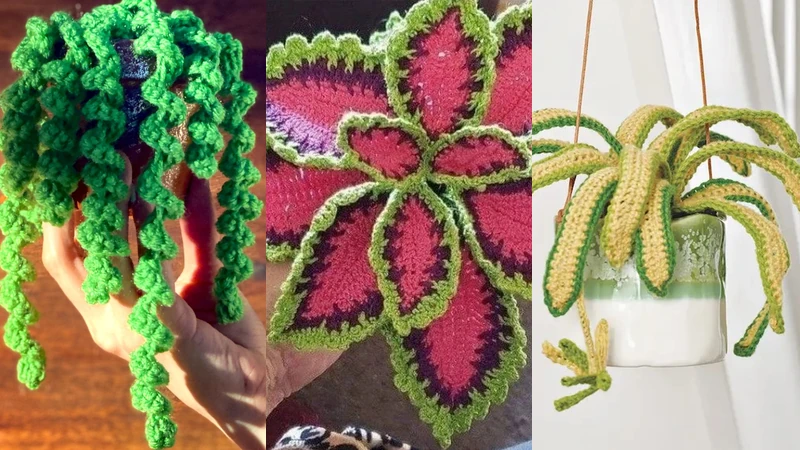 Crochet Houseplant Patterns